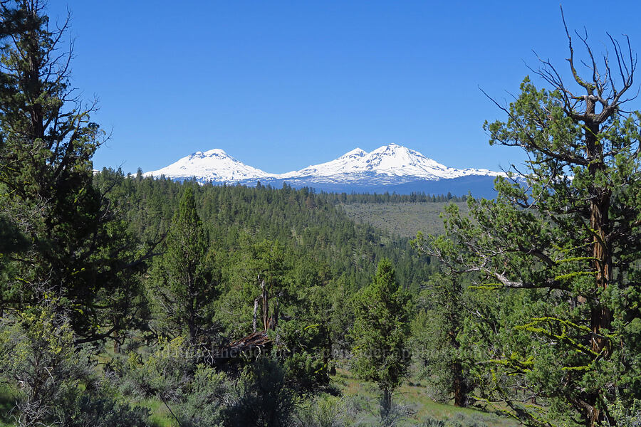 Three Sisters [Whychus Canyon Preserve, Deschutes County, Oregon]