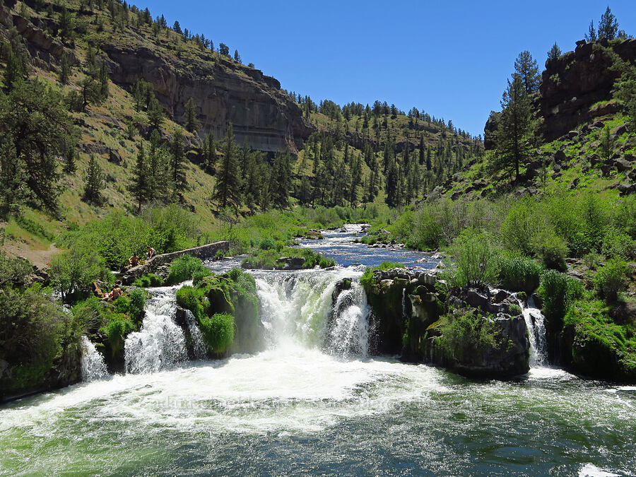 Steelhead Falls [Steelhead Falls Trail, Jefferson County, Oregon]