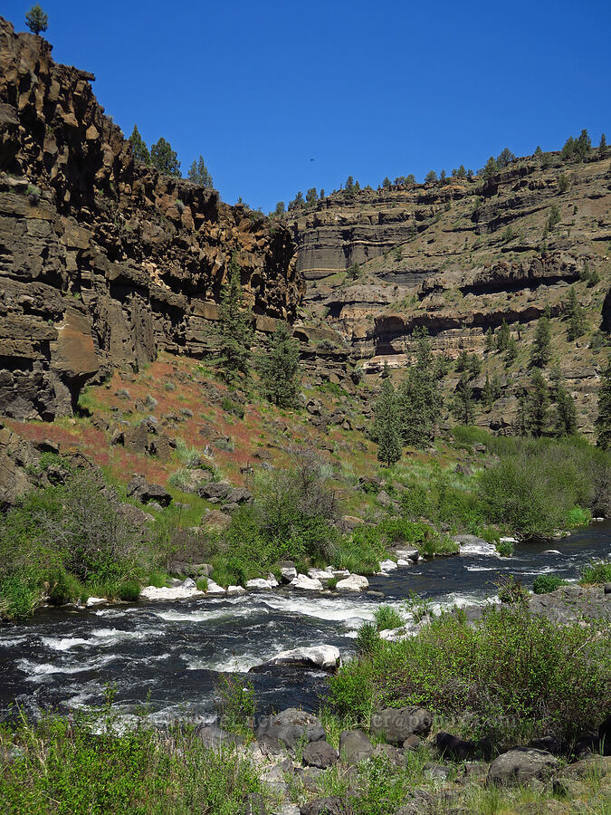 Deschutes River [Steelhead Falls Trail, Jefferson County, Oregon]