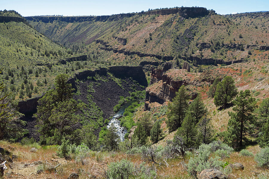 Deschutes River [Scout Camp Trail, Deschutes Canyon-Steelhead Falls WSA, Jefferson County, Oregon]