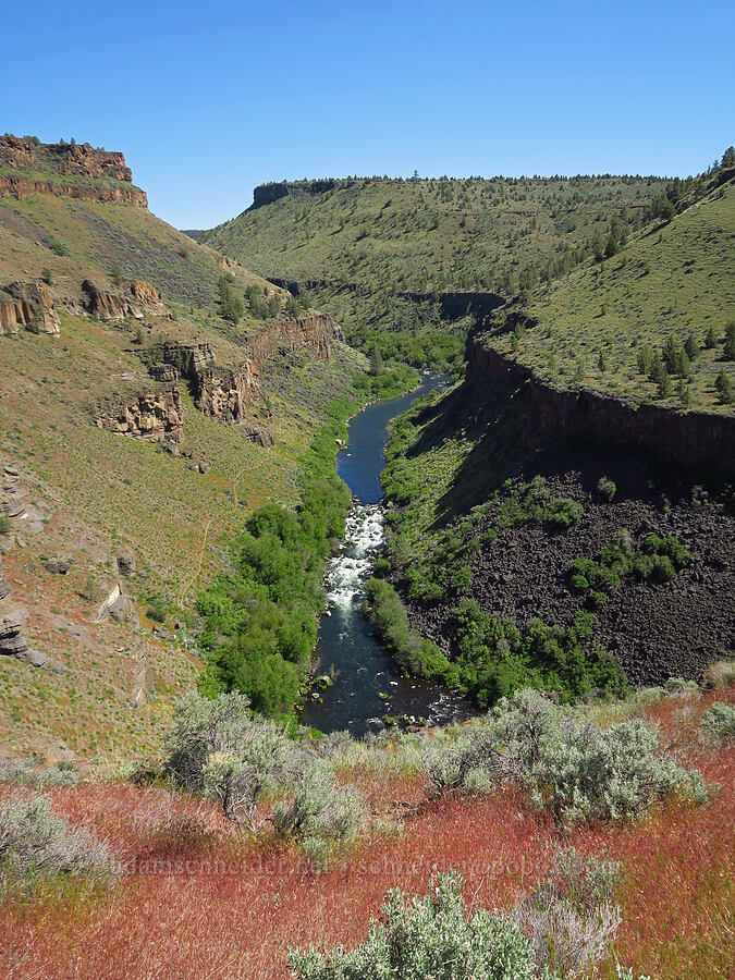 Deschutes River [Scout Camp Trail, Deschutes Canyon-Steelhead Falls WSA, Jefferson County, Oregon]