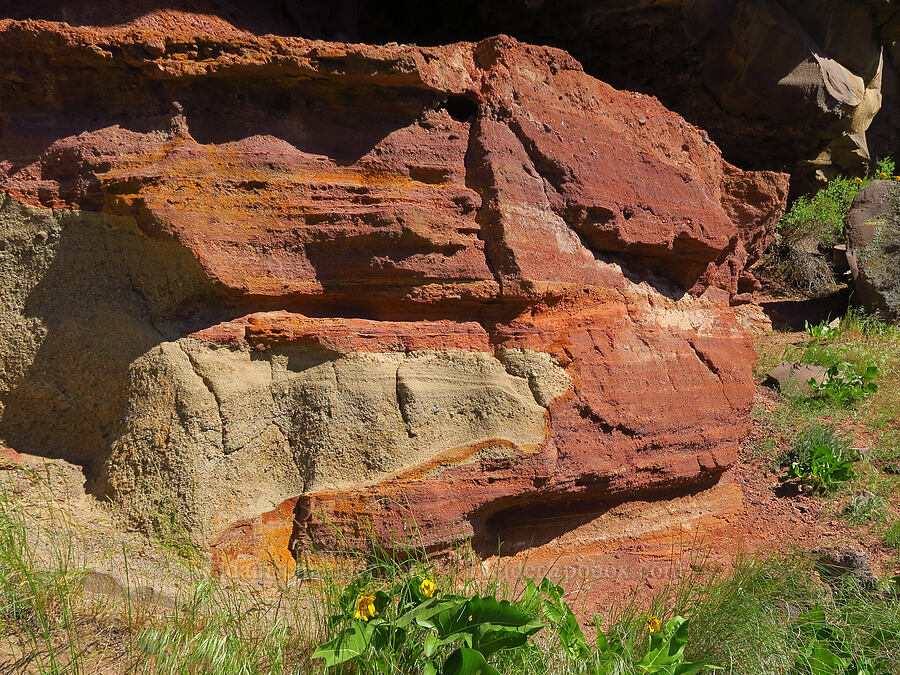 red rock [Scout Camp Trail, Deschutes Canyon-Steelhead Falls WSA, Jefferson County, Oregon]