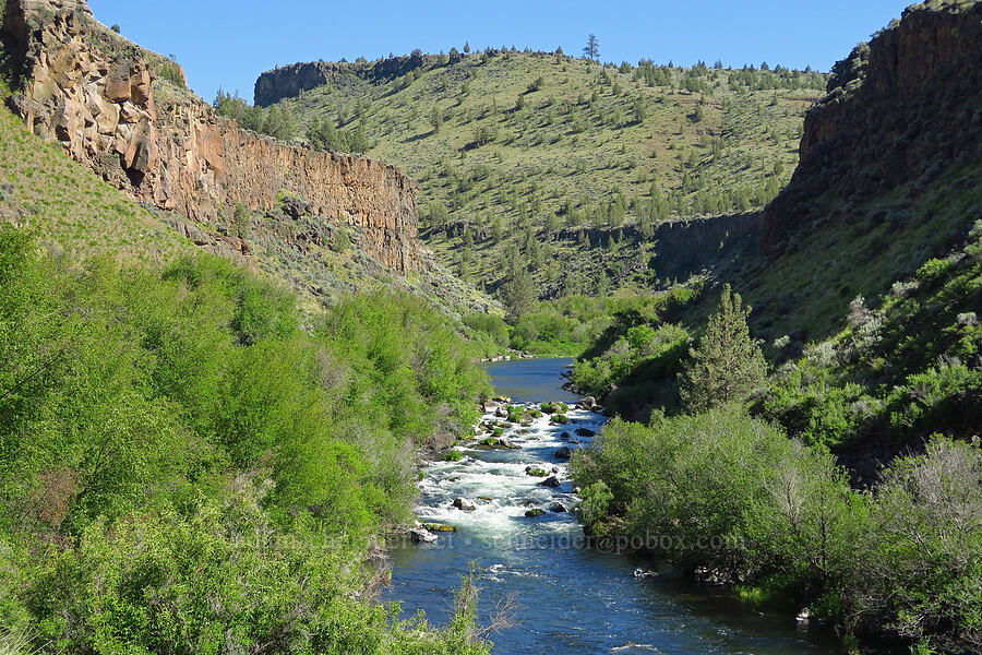 Deschutes River [Scout Camp Trail, Deschutes Canyon-Steelhead Falls WSA, Jefferson County, Oregon]