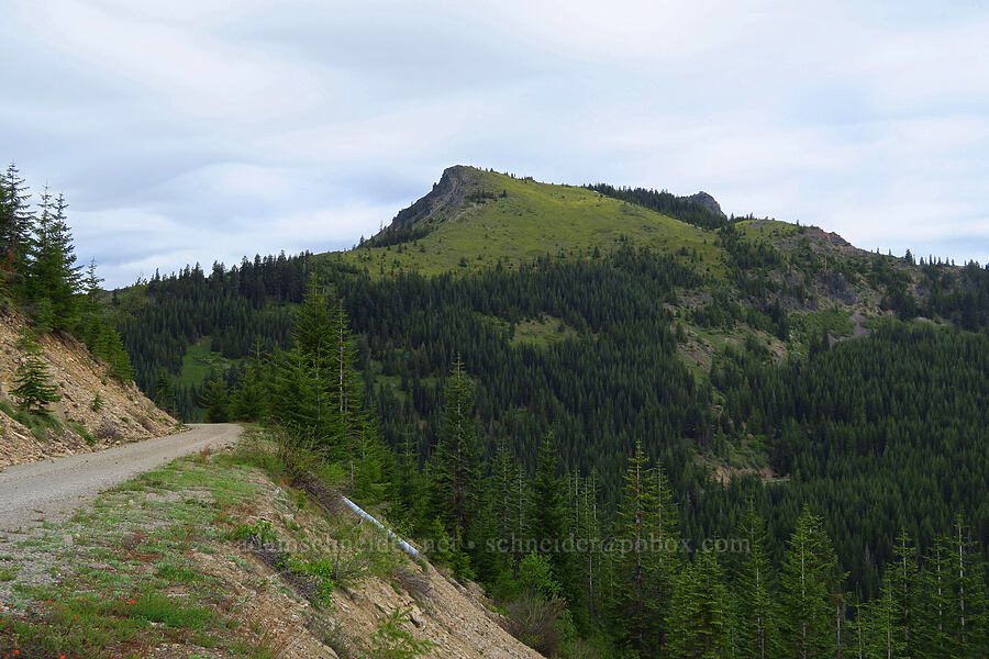 Coffin Mountain [Forest Road 1168, Willamette National Forest, Linn County, Oregon]