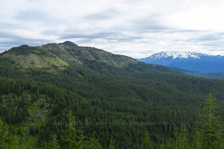 Bachelor Mountain & Mount Jefferson [Forest Road 1168, Willamette National Forest, Linn County, Oregon]