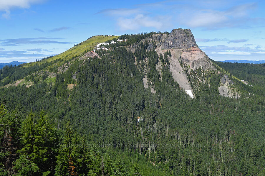 Coffin Mountain [Bachelor Mountain Trail, Willamette National Forest, Linn County, Oregon]