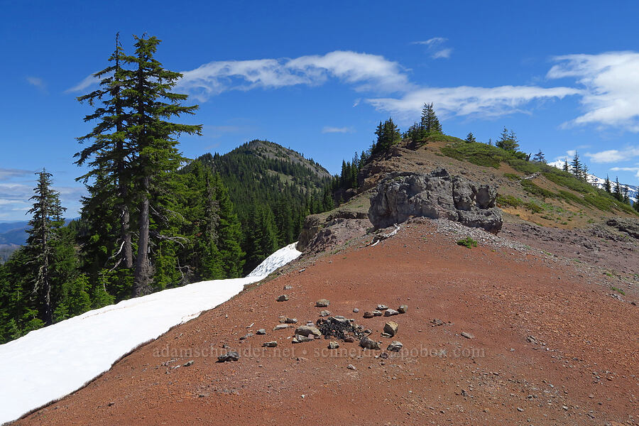 Bachelor Mountain [Bachelor Mountain Trail, Willamette National Forest, Linn County, Oregon]