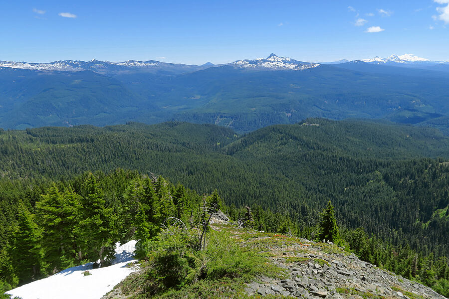 view toward the crest of the Cascades [Bachelor Mountain summit, Willamette National Forest, Linn County, Oregon]