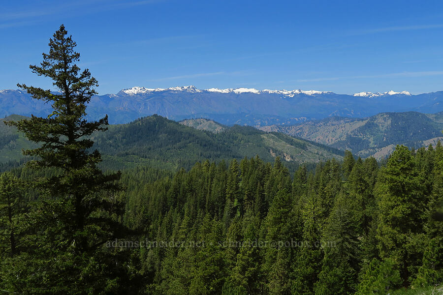 Chiwaukum Mountains [Forest Road 7400, Okanogan-Wenatchee National Forest, Chelan County, Washington]