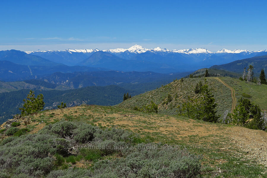 Glacier Peak & the Central Cascades [Chumstick Mountain, Okanogan-Wenatchee National Forest, Chelan County, Washington]