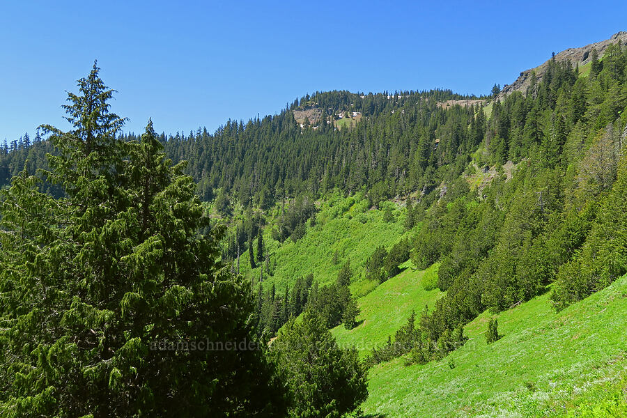 Echo Mountain & Echo Basin [Echo Basin, Willamette National Forest, Linn County, Oregon]