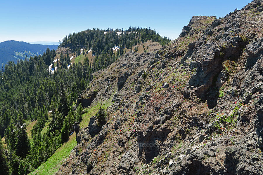 Echo Mountain [Peak 5762, Willamette National Forest, Linn County, Oregon]