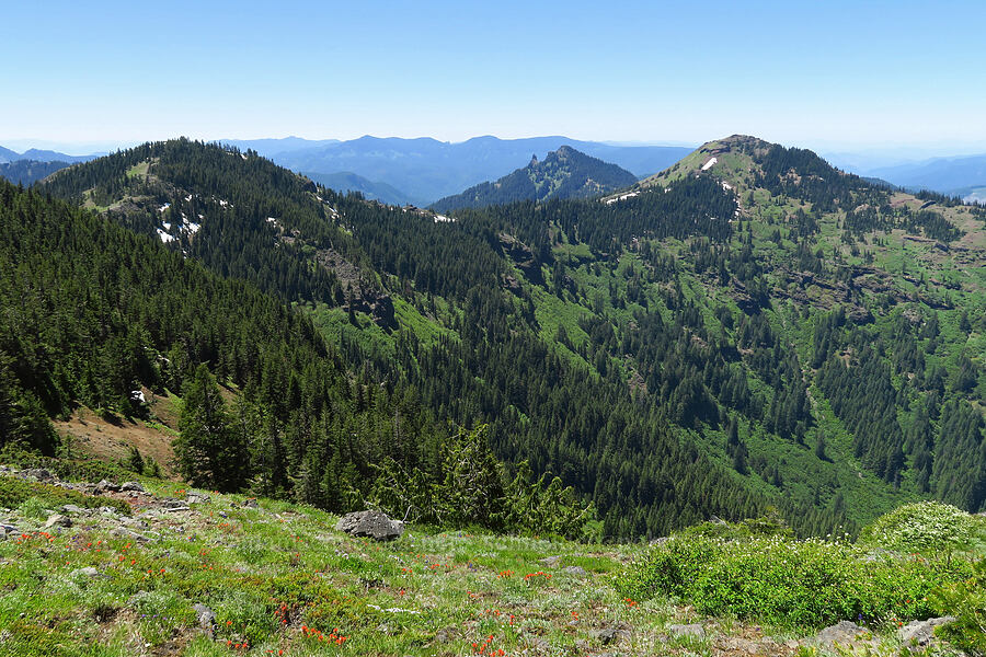 South Peak, Cone Peak, & Iron Mountain [Peak 5762, Willamette National Forest, Linn County, Oregon]