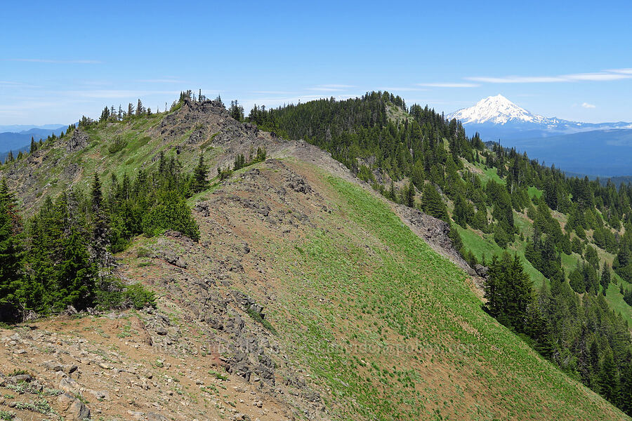 North Peak & Mount Jefferson [Echo Mountain, Willamette National Forest, Linn County, Oregon]