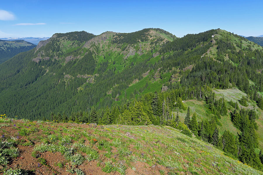 North Peak, Echo Mountain, & South Peak [Cone Peak, Willamette National Forest, Linn County, Oregon]