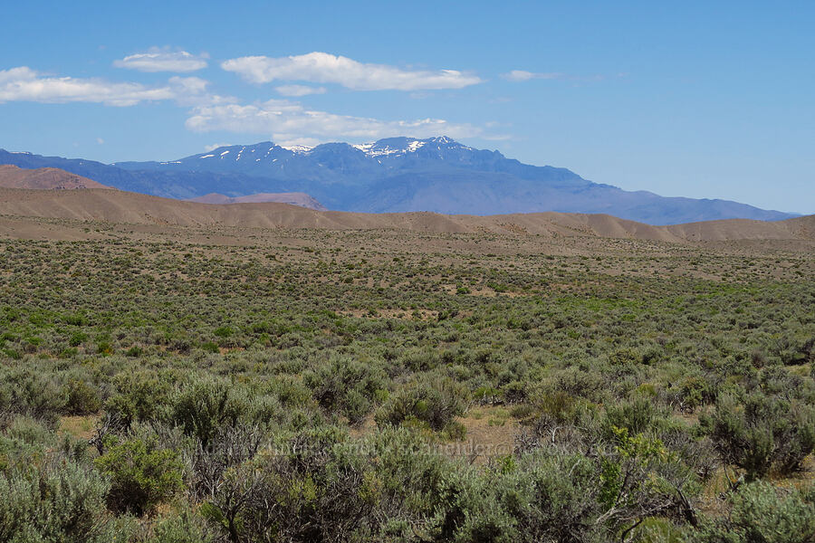 Steens Mountain [Domingo Pass Road, Harney County, Oregon]