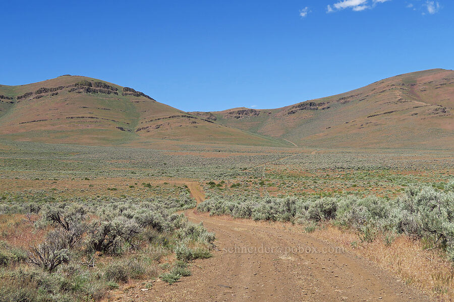 northern Pueblo Mountains [Domingo Pass Road, Harney County, Oregon]