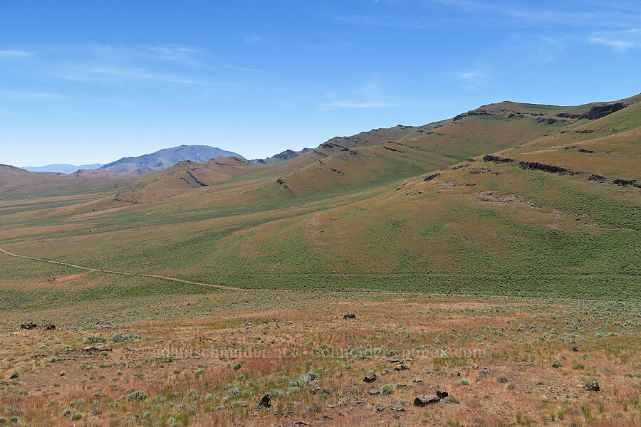 northern Pueblo Mountains [Domingo Pass Road, Harney County, Oregon]