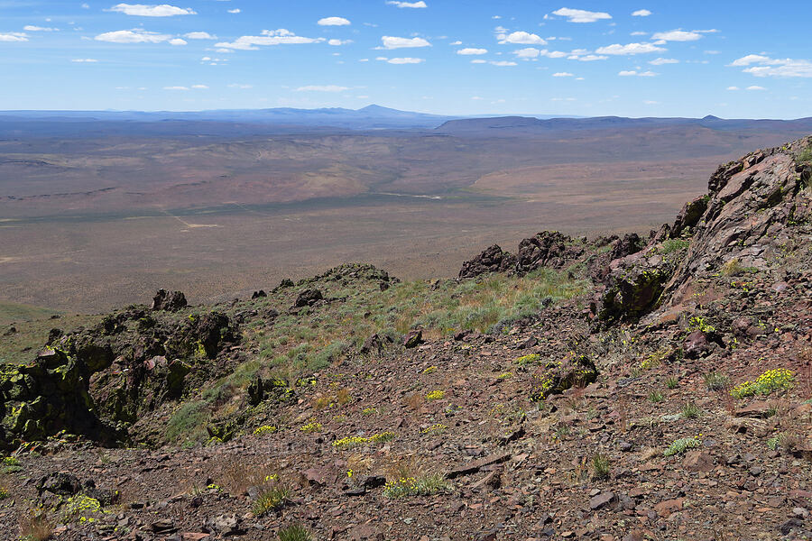 view to the northwest [south of Domingo Pass, Pueblo Mountains, Harney County, Oregon]