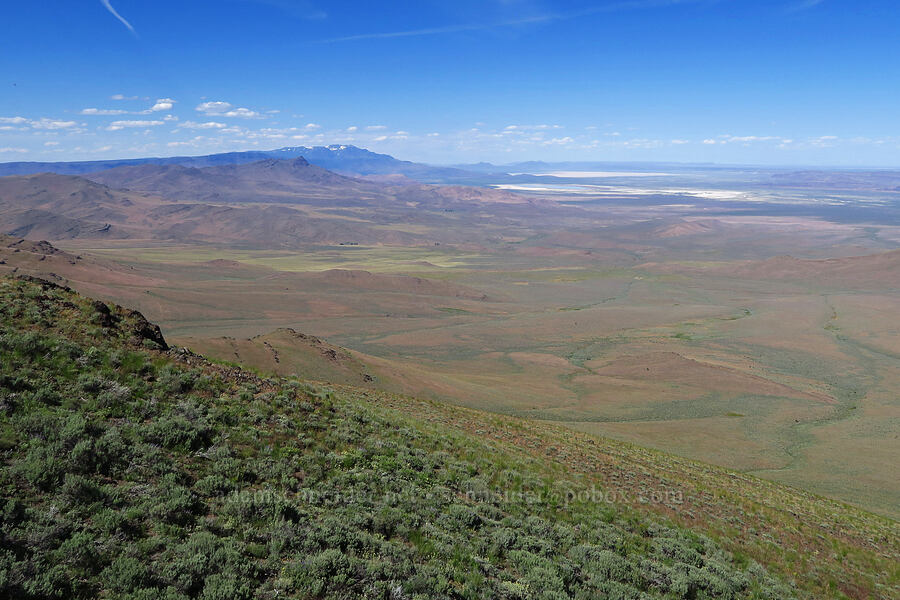 view to the north [south of Domingo Pass, Pueblo Mountains, Harney County, Oregon]