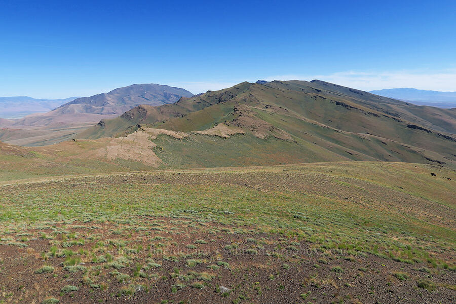 Pueblo Mountains [south of Domingo Pass, Pueblo Mountains, Harney County, Oregon]