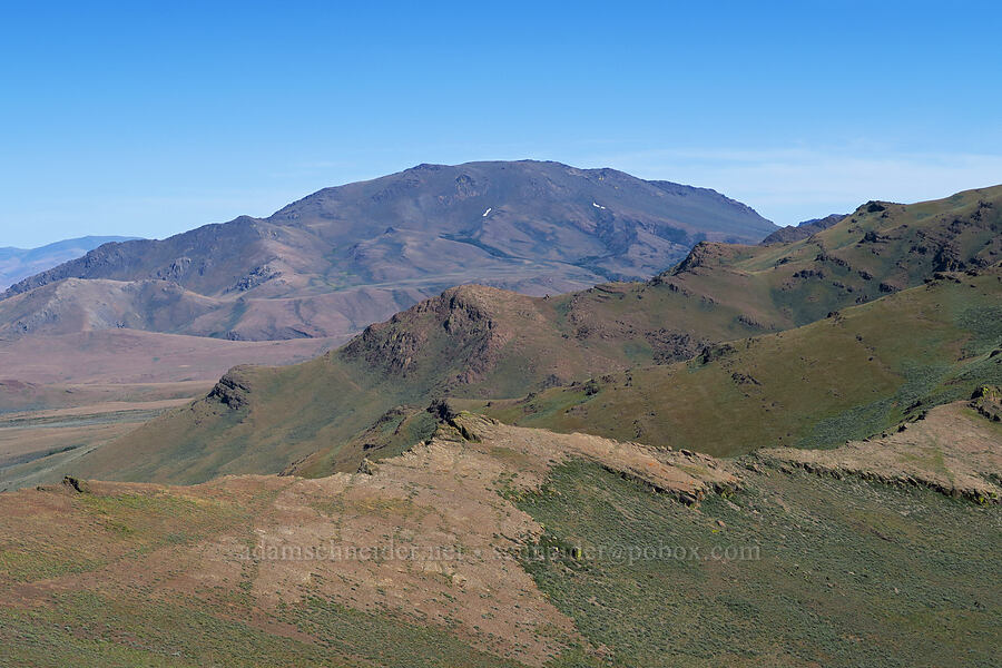 Pueblo Mountains [south of Domingo Pass, Pueblo Mountains, Harney County, Oregon]