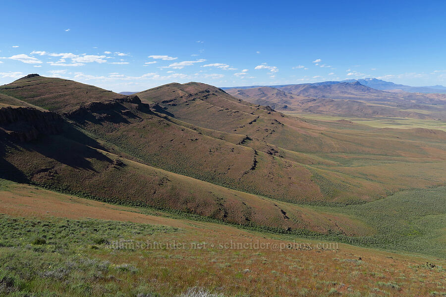 northern end of the Pueblo Mountains [south of Domingo Pass, Pueblo Mountains, Harney County, Oregon]