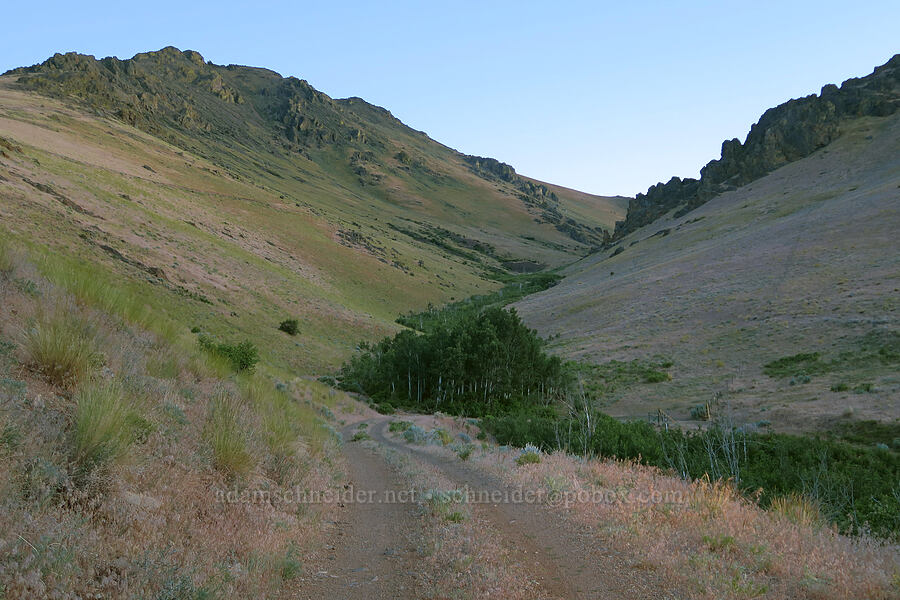 Arizona Creek Valley [Arizona Creek Road, Harney County, Oregon]