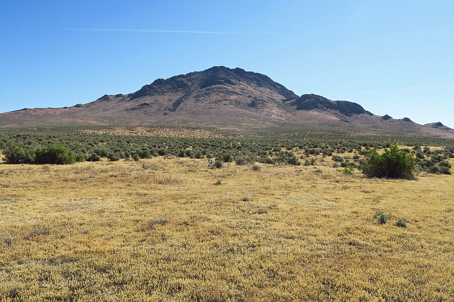 Flagstaff Butte [Calderwood Desert Road, Harney County, Oregon]