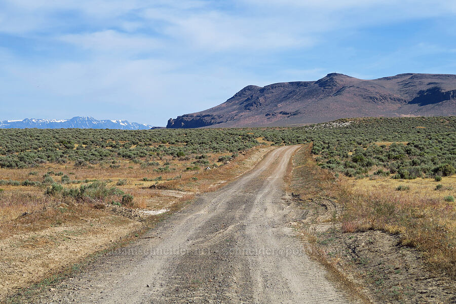 Buckskin Mountain & Steens Mountain [Calderwood Desert Road, Harney County, Oregon]