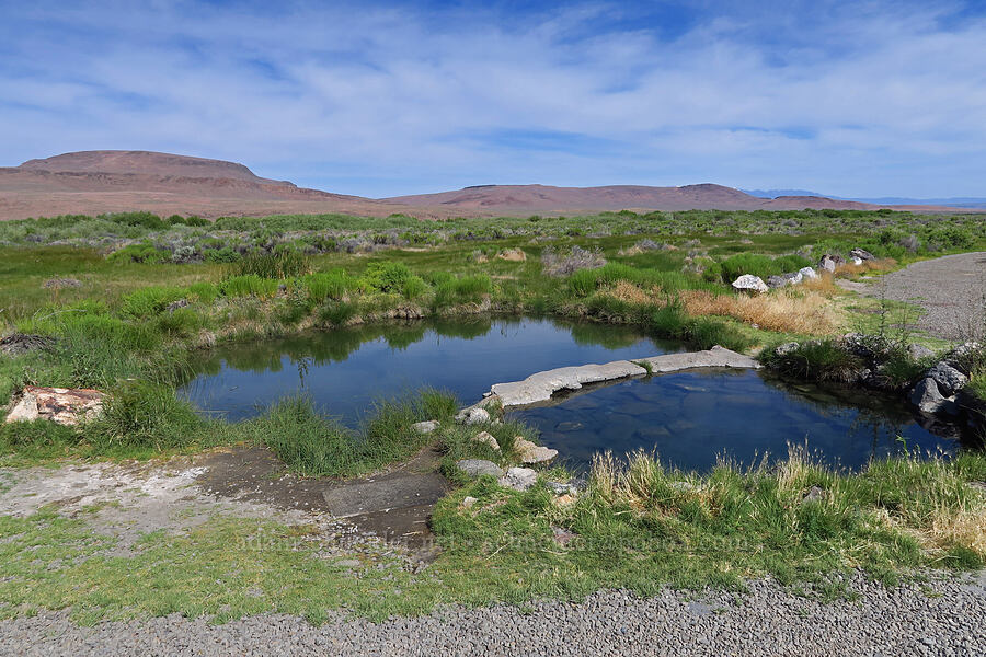 hot spring pools [Willow Creek Hot Springs, Harney County, Oregon]