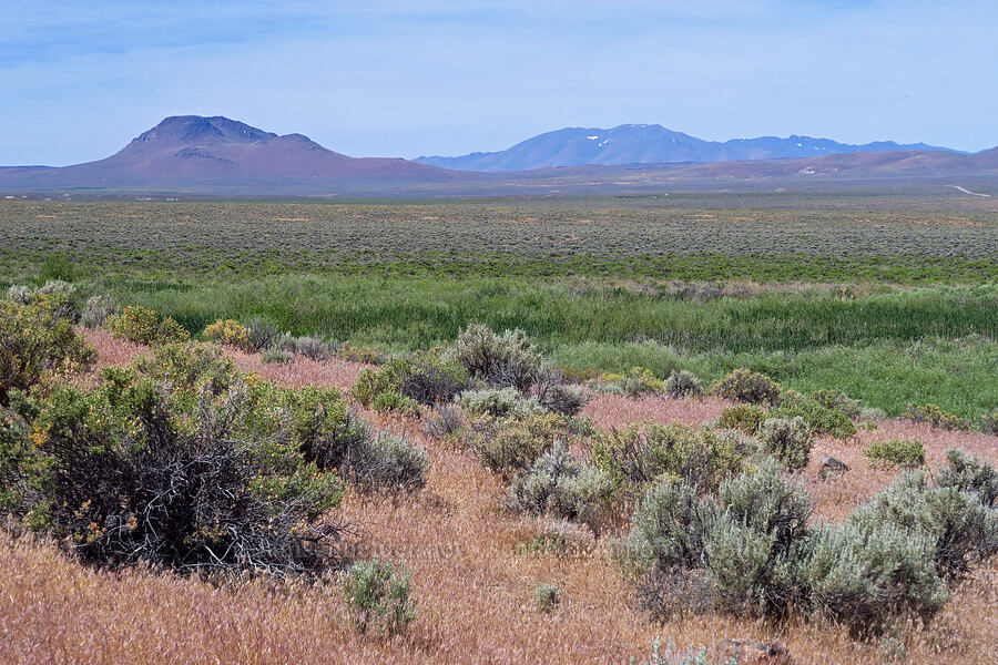 Flagstaff Butte & Pueblo Mountain [Willow Creek Hot Springs, Harney County, Oregon]