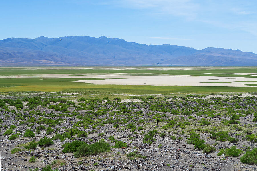 Continental Lake & the Pine Forest Range [Denio-Adel Road, Humboldt County, Nevada]