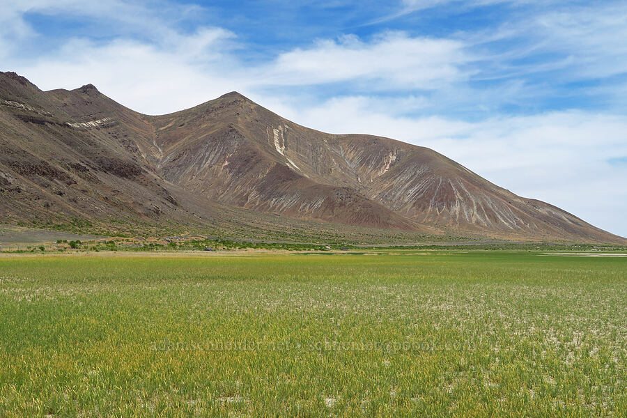 south end of the Pueblo Mountains [Denio-Adel Road, Humboldt County, Nevada]