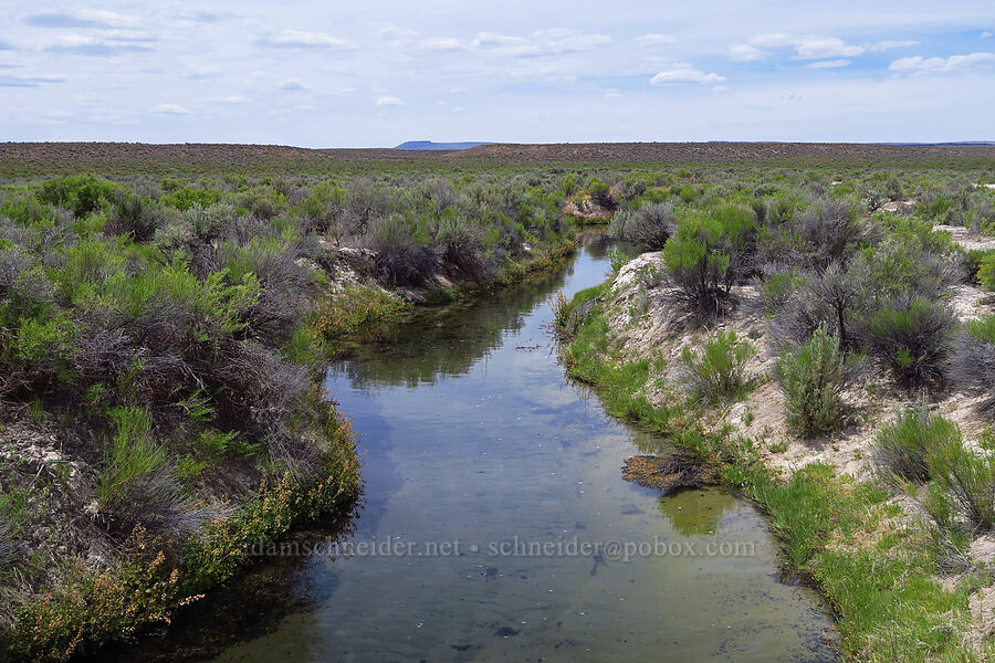 Bog Hot Creek (Rincon Creek) [Bog Hot Valley, Humboldt County, Nevada]