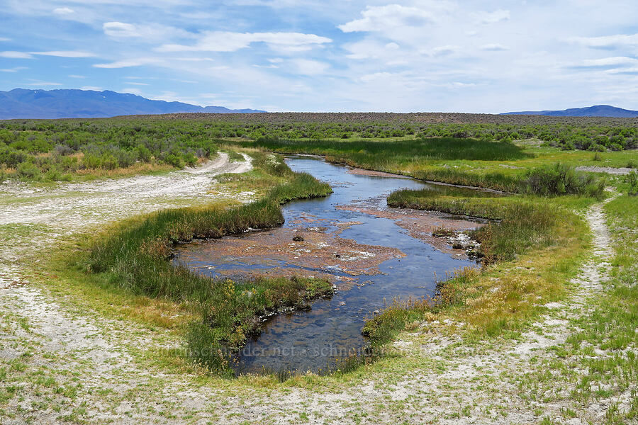 Bog Hot Springs [Bog Hot Valley, Humboldt County, Nevada]