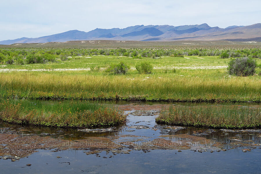 Bog Hot Creek & the Pueblo Mountains [Bog Hot Valley, Humboldt County, Nevada]