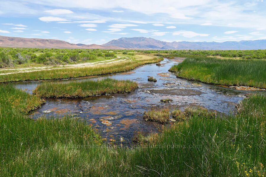 Bog Hot Springs [Bog Hot Valley, Humboldt County, Nevada]