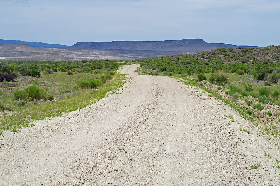 Oregon End Table [Bog Hot Road, Sheldon National Wildlife Refuge, Humboldt County, Nevada]