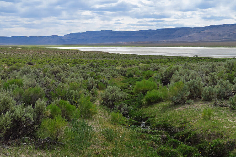 warm spring's outlet & Gridley Lake [Devil's Faucet Hot Spring, Humboldt County, Nevada]