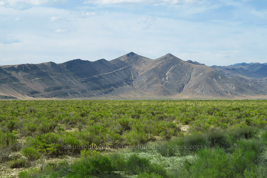 Bobcat Canyon [Alder Creek Ranch Road, Humboldt County, Nevada]