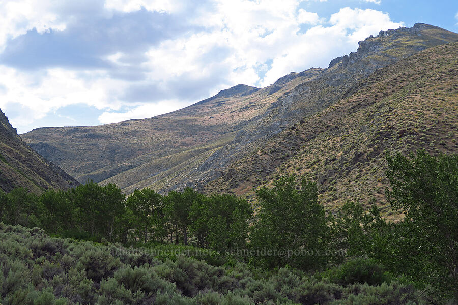 Van Horn Valley [Van Horn Creek, Harney County, Oregon]