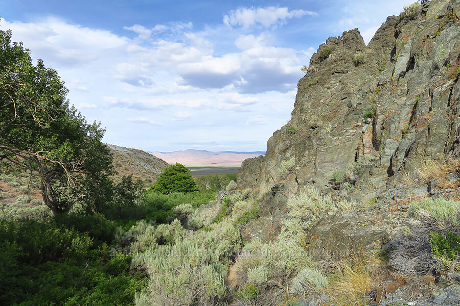 mouth of Van Horn Valley [Van Horn Creek, Harney County, Oregon]