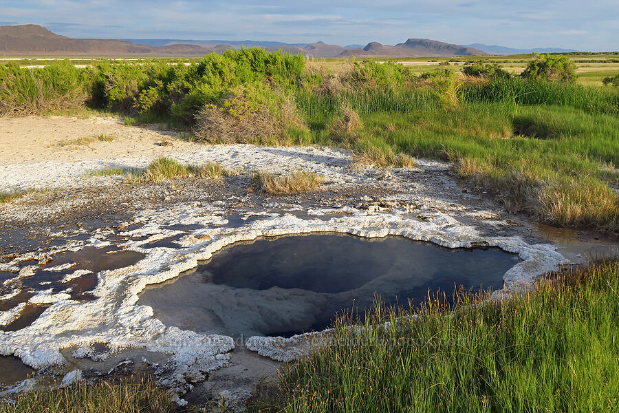 hot spring [Borax Lake Hot Springs, Harney County, Oregon]