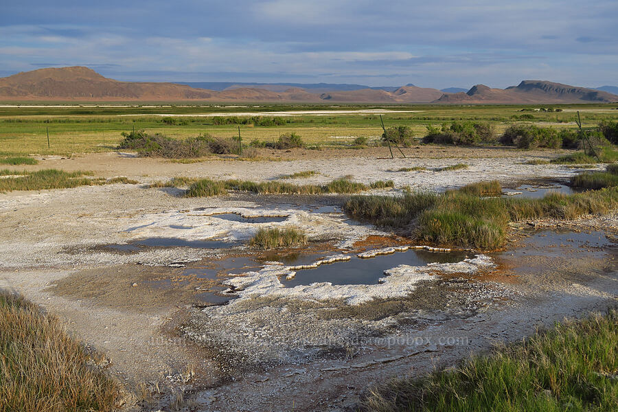 hot springs [Borax Lake Hot Springs, Harney County, Oregon]