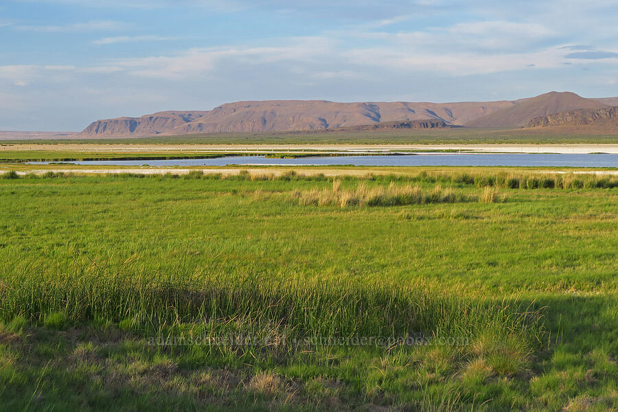 seasonal lake [Borax Lake Hot Springs, Harney County, Oregon]