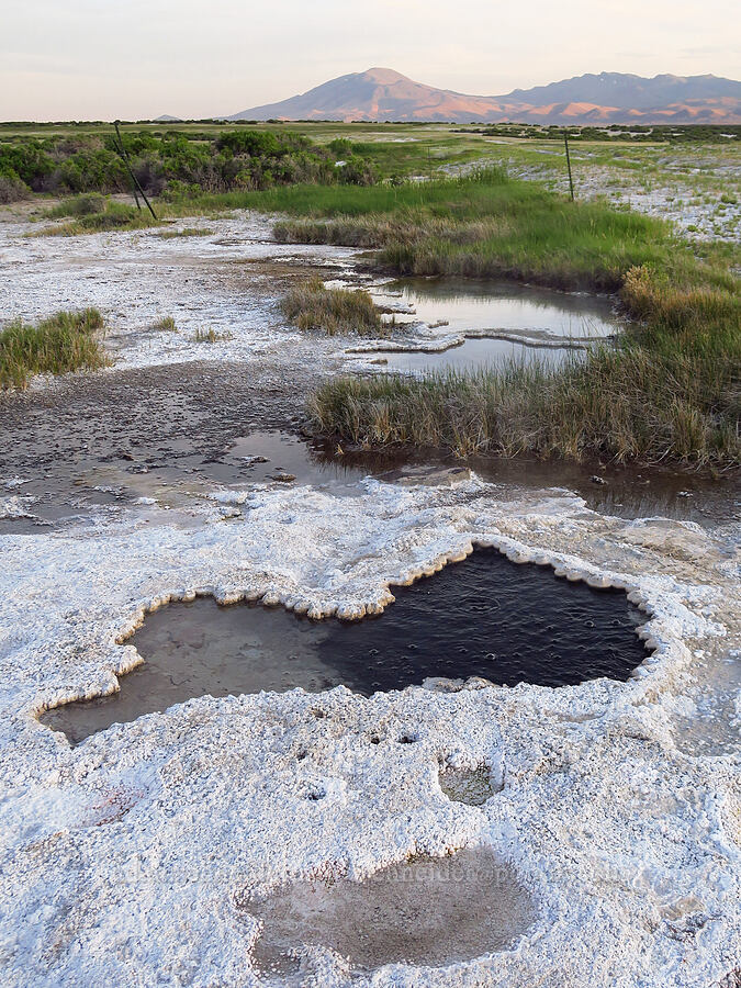 bubbling hot spring [Borax Lake Hot Springs, Harney County, Oregon]