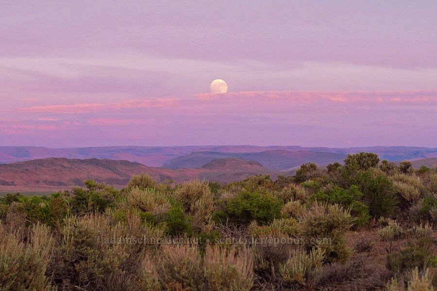 moonrise [Borax Lake Road, Harney County, Oregon]