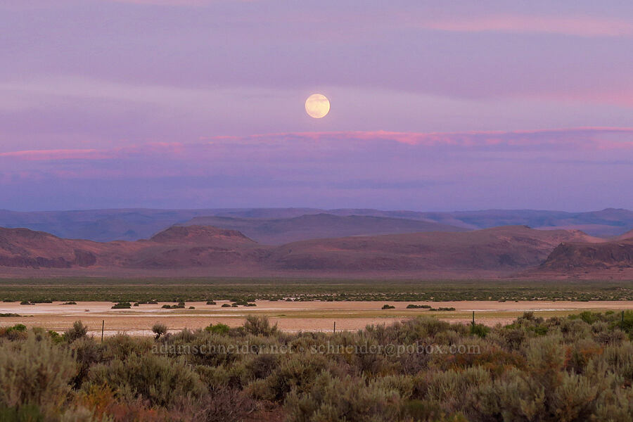 moonrise [Borax Lake Road, Harney County, Oregon]