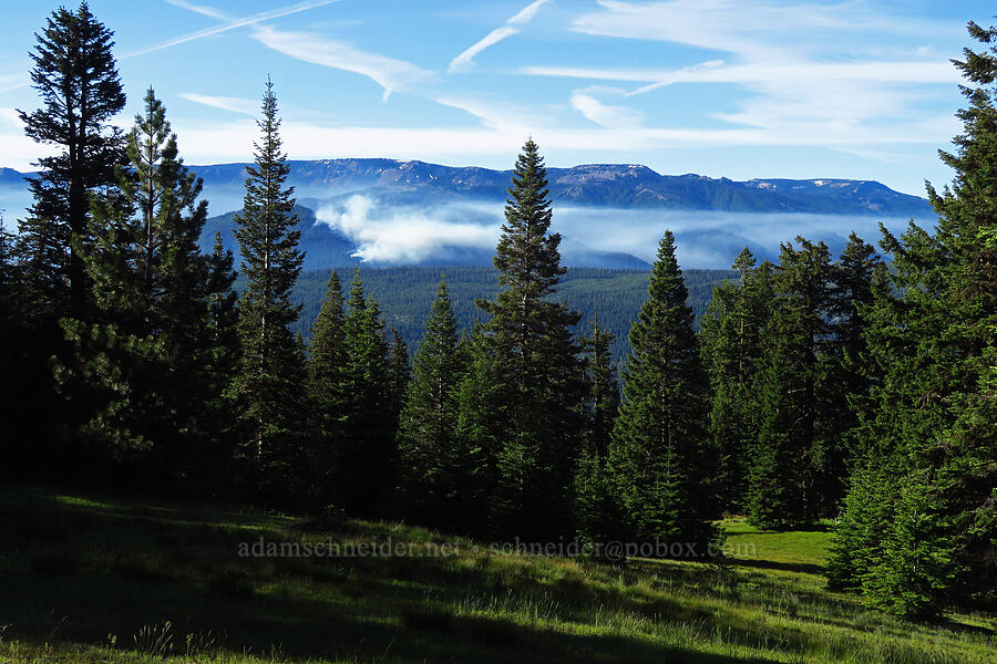 South Fork Fire & Divide Ridge [Russell Ridge Trail, Okanogan-Wenatchee National Forest, Yakima County, Washington]